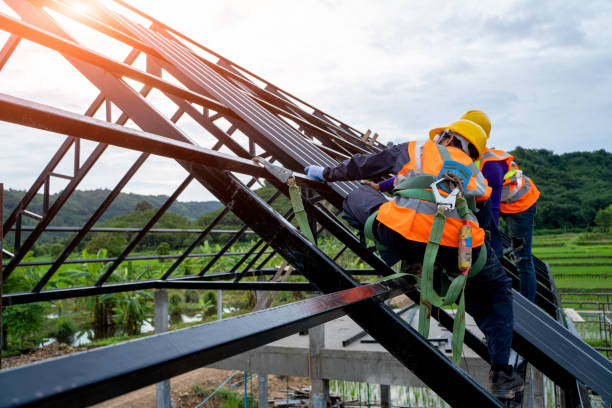 Best Roof Gutter Cleaning  in Corte Madera, CA