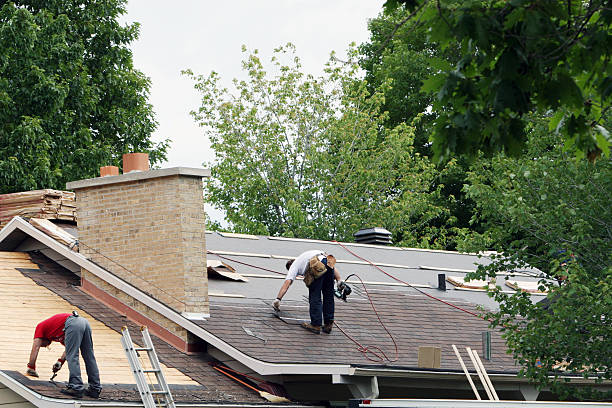 Best Local Roofing Companies  in Corte Madera, CA